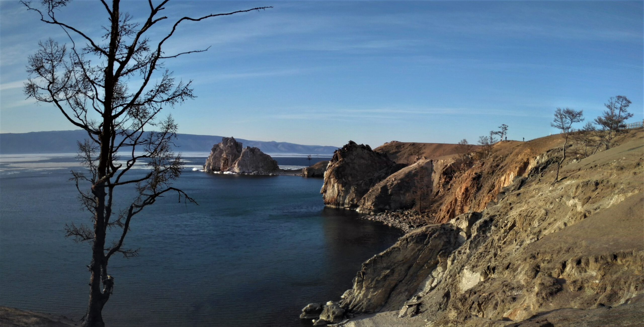 Blick auf den Schamanenfelsen über das Blaue Wasser des Baikalsees. Links im Bild ein kahler Baum. Rechts die steile Küste Olchons. Blauer Himmel.