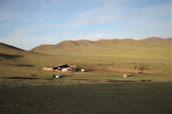 Eine Tour durch die Mongolei – 8 Tage im Land der Nomaden