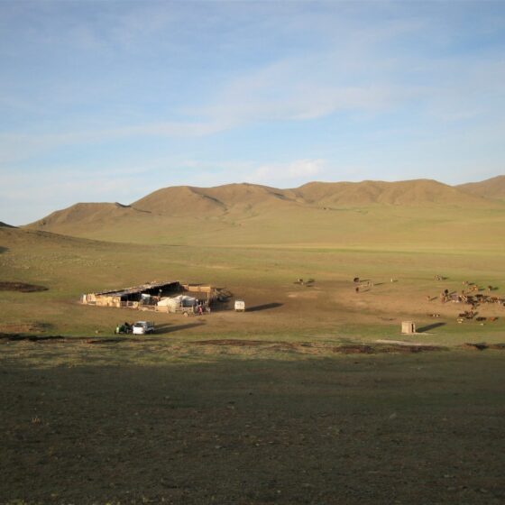 Blick auf ein Ger-Quartier der gastgebenden Nomaden inmitten der mongolischen Steppe. Während meiner Mongolei Tour im Jahr 2016.