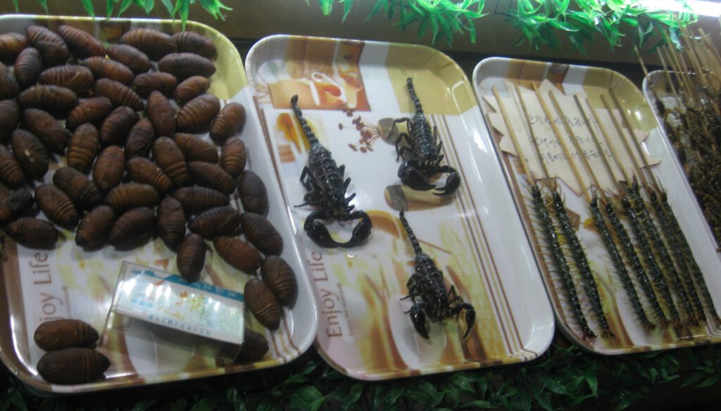 In der Pichaiyuan Food Street gibt es allerhand tierische Knabbereien.