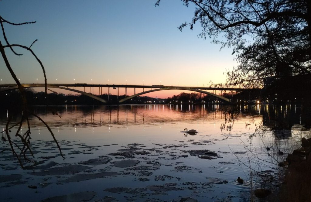 Eine der größten Brücken Stockholms. Die Brücke Västerbron in Stockholm im Sonnenuntergang. Die Brücke spiegelt sich im Wasser. Ein Schwan sucht nach Futter. 