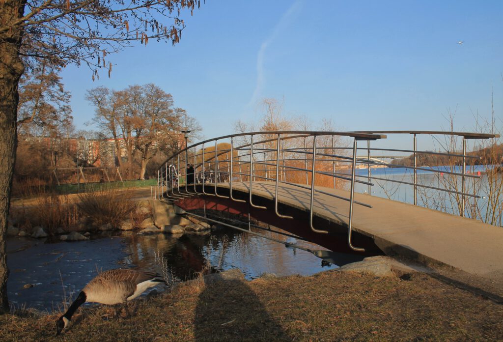 Kleine Fußgängebrücke über Wasser im Luxparken in LiIlla Essingen. Links eine futternde Gans am Ufer. 
