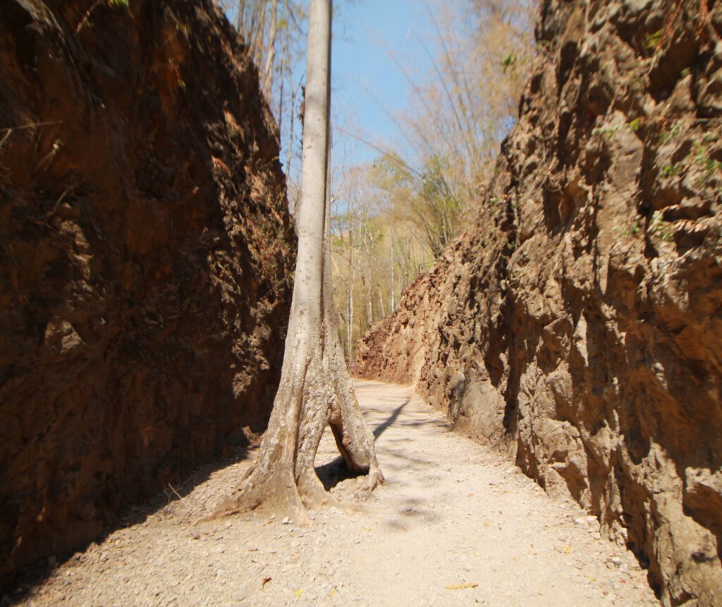 Hellfire Pass: Ein Baum steht in der Mitte des Pfads im Höllenfeuerpass, zwischen den massiven Felswänden. 
