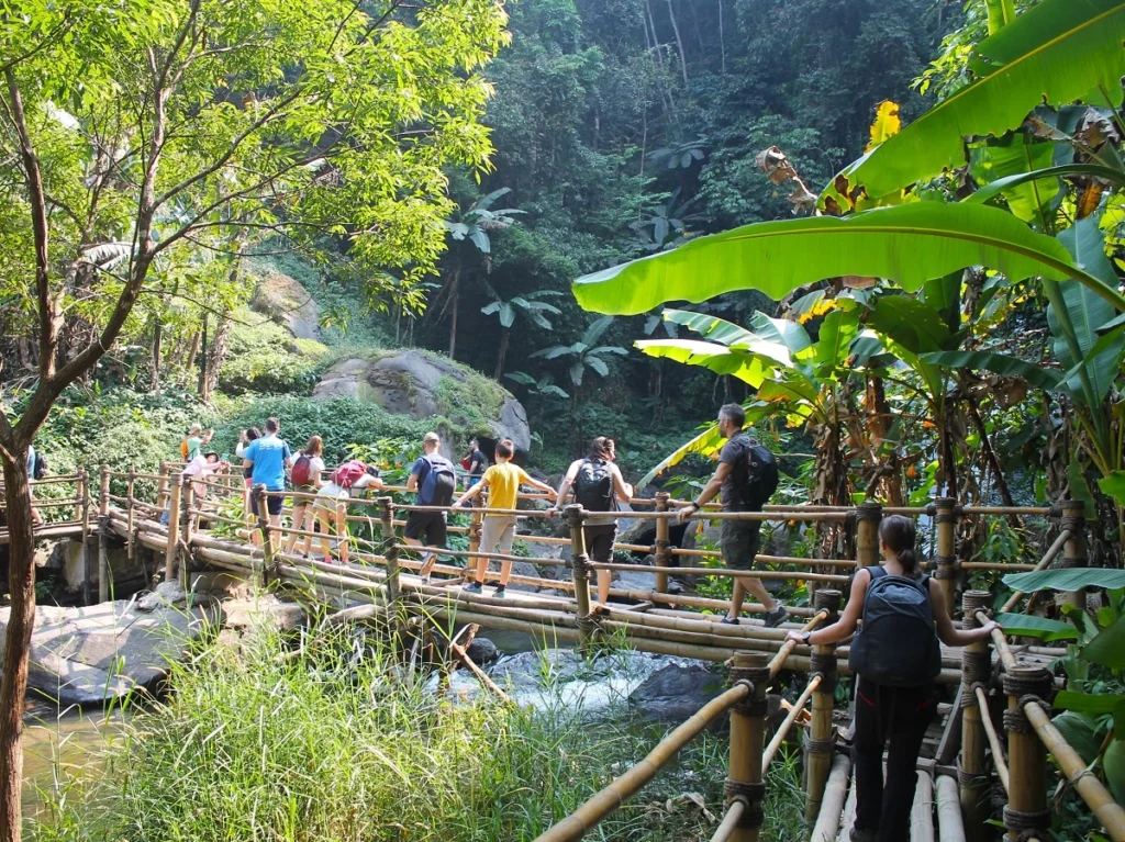 Eine Gruppe von Tourist:innen läuft unter Bananenblättern über eine Bambusbrücke über den Mae-Klang Fluss nahe dem Pha Dok Siew Wasserfall. 