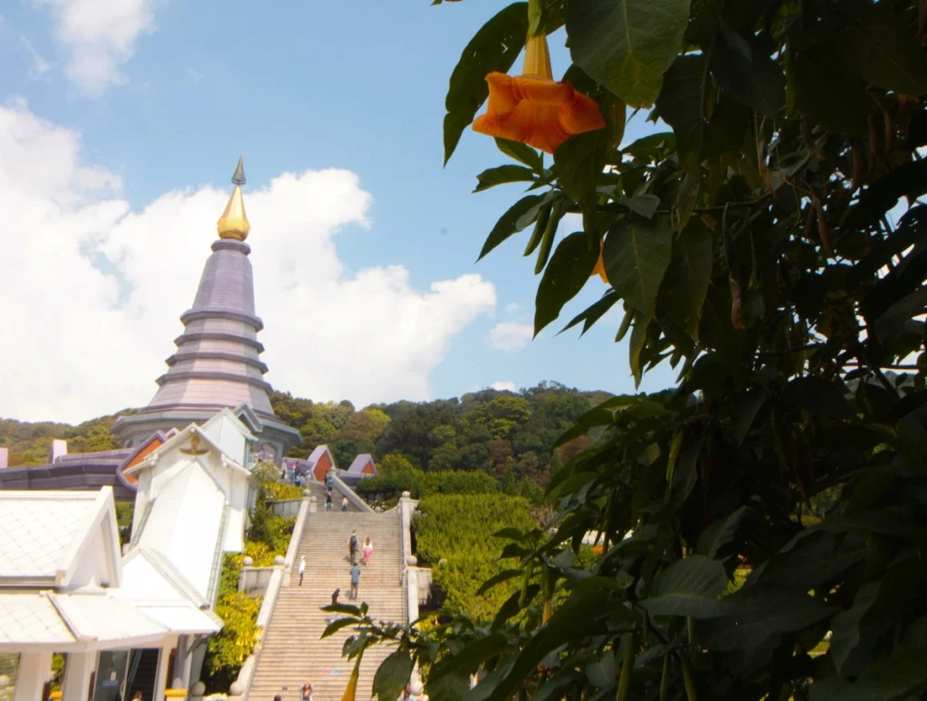 Mitte-links Treppenaufstieg zu einer der Zwillingspagoden von Doi Inthanon. Pagode ist ein moderner, violett-grauer Stupa mit goldener Spitze. Vorne rechts ragt orange Engelstrompete ins Bild. 