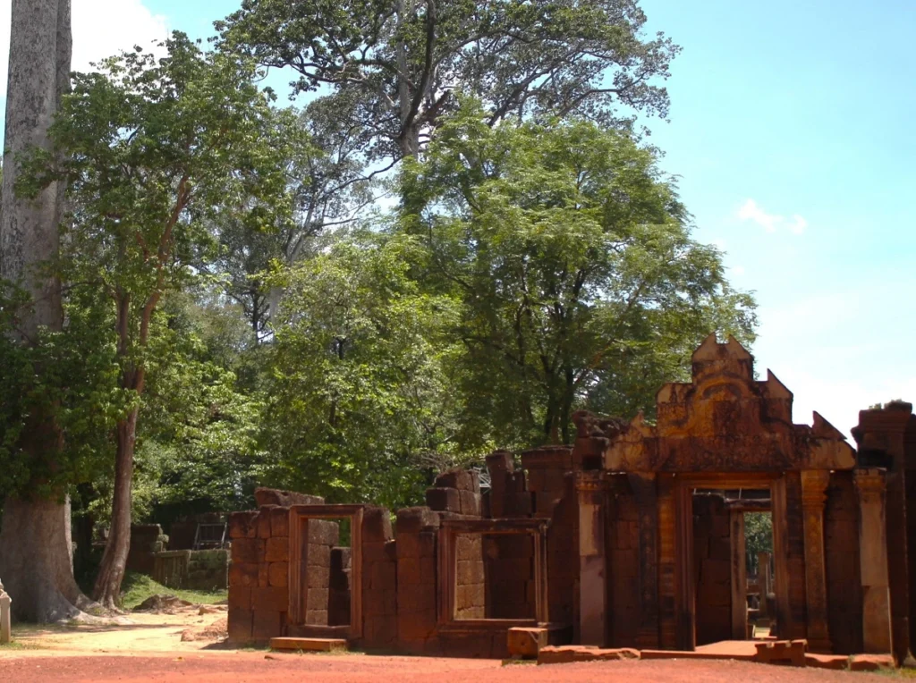 Foto von Toren zu Banteay Srei neben großem Kapokbaum (links). Der Tempel aus rotem Sandstein wirkt sehr klein. Auch neben den anderen Bäumen.  Blauer Himmel. 