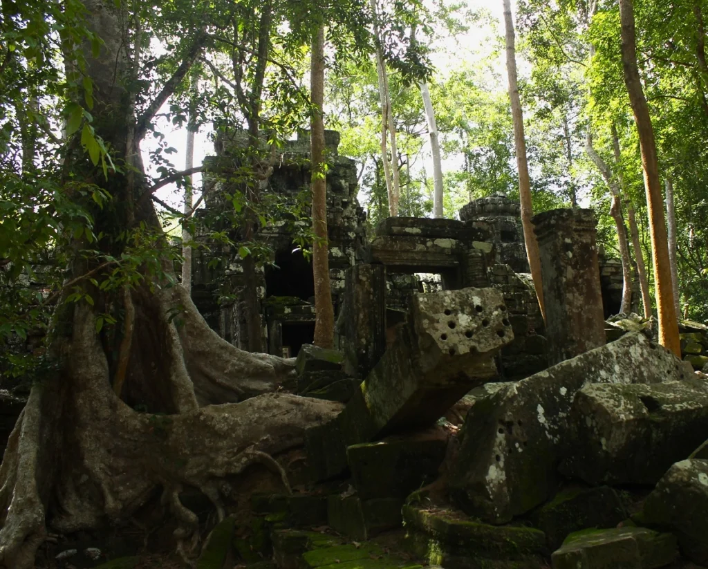 Blick durch Trümmer im Dschungel auf das Tor von Ta Nei in Angkor. Ein Kapokbaum wächst in Richtung der Steintrümmer des Temples. 