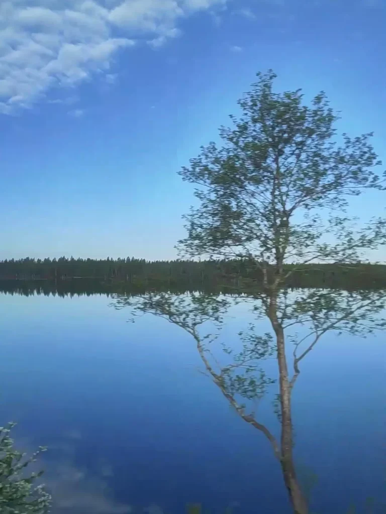 Baum spiegelt sich in einem See in Schweden. Im Vorbeifahren aus dem Zug fotografiert. 