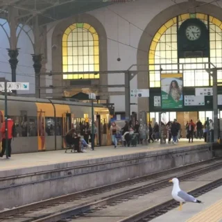 Titelbild "Mit dem Zug nach Portugal". Offene Bahnhofshalle von Porto Sao Bento. Gelber Regionalzug steht im Gleis. Im Vordergrund eine Möwe am Bahnsteig. East Rail Stories