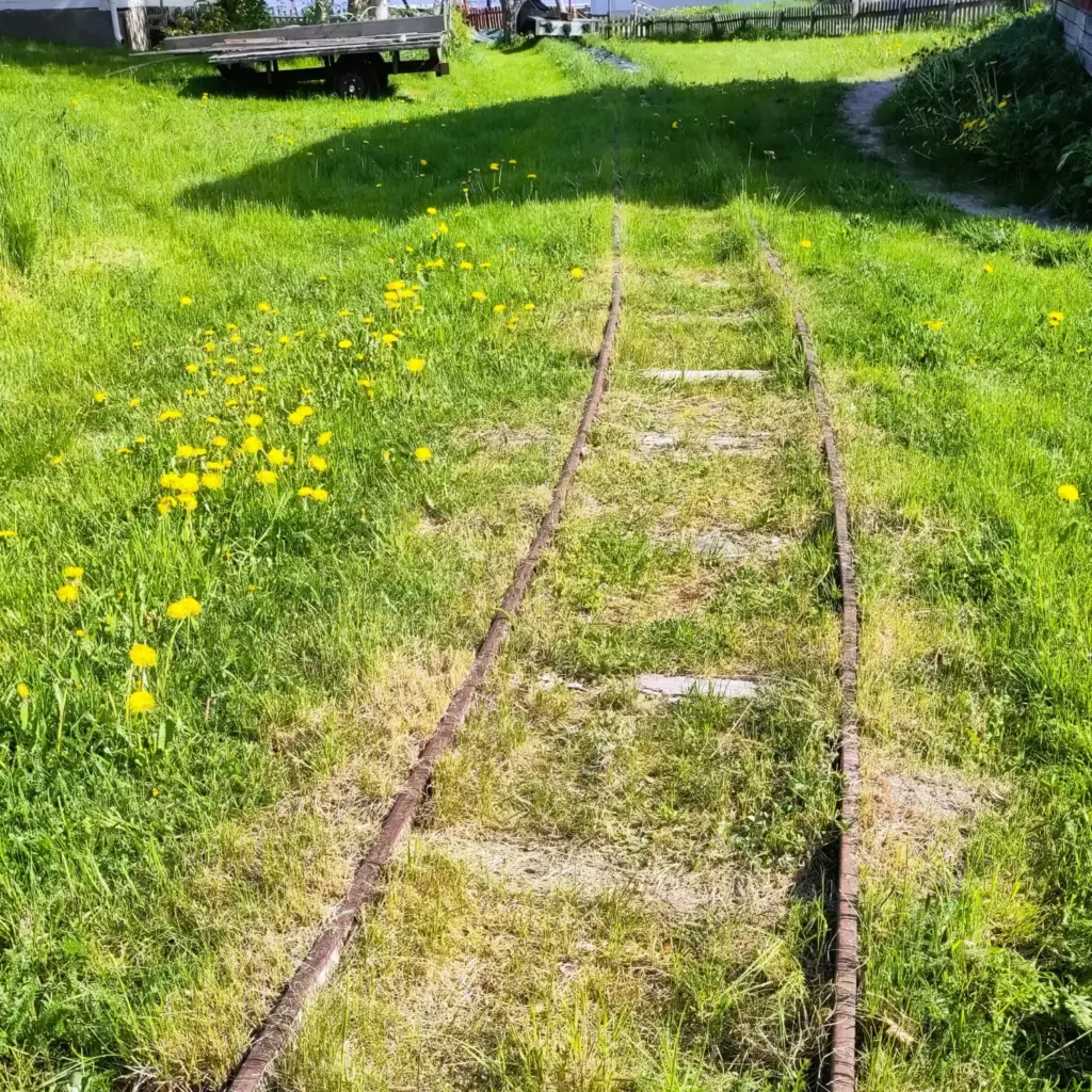 Eisenbahn-Schienen in grünem Gras.