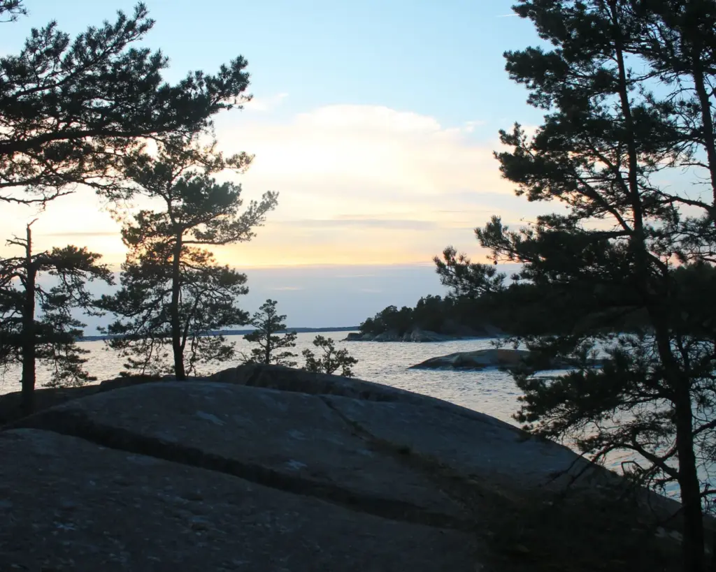 Schärenfelsen mit Kiefern vor der Küste, in Richtung Sonnenuntergang.