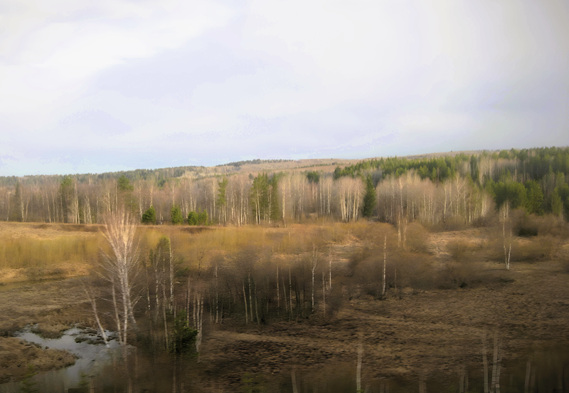 Sibirische Monotonie aus dem Fenster der Transsibirischen Eisenbahn. Kahle Bäume im Frühjahr. 