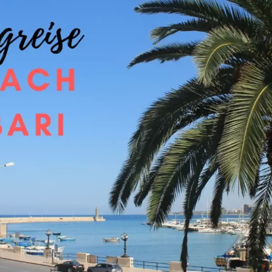 Blick von Via Venezia auf Meer und Bari Strand. Palme liegt über halbem Bild. Mole ragt vom Hafen ins Meer. Blauer Himmel. Zugreise nach Bari
