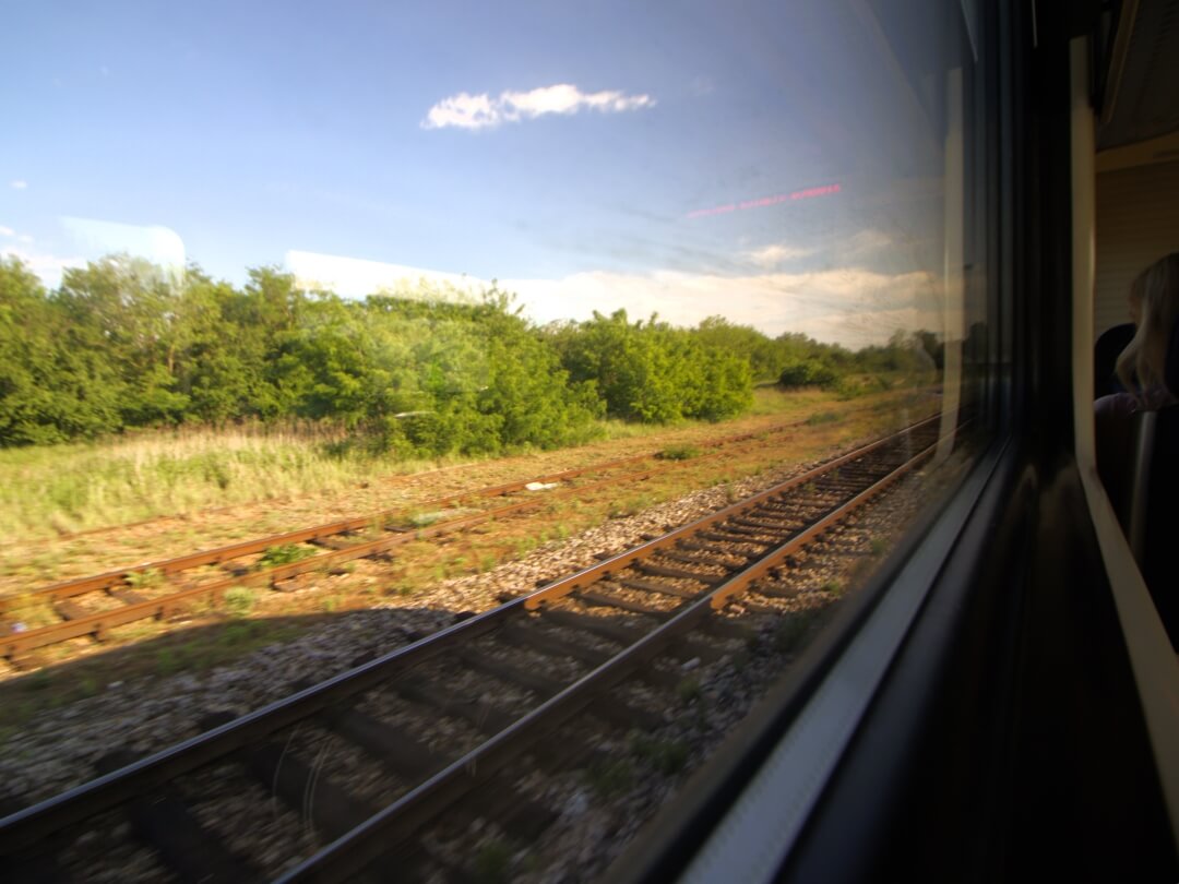 Teilweise dicht bewachsene Schienen im Gleisbett neben dem Zug nach Novi Sad.