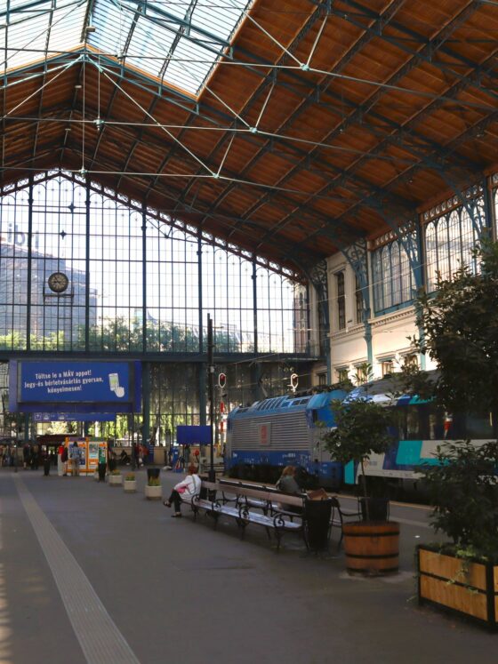 Offene Bahnhofshalle Budapest-Nyugati mit Nachtzug Berlin-Budapest im Gleis. east rail stories